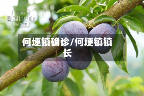 何埂镇确诊/何埂镇镇长