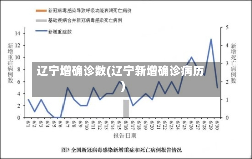 辽宁增确诊数(辽宁新增确诊病历)