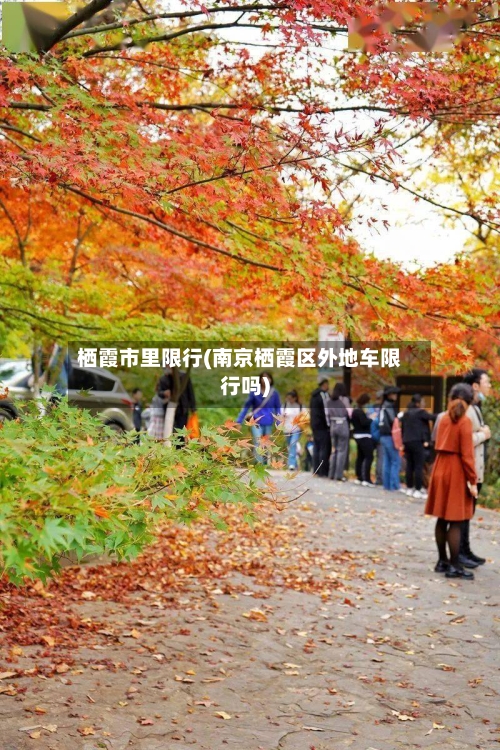 栖霞市里限行(南京栖霞区外地车限行吗)
