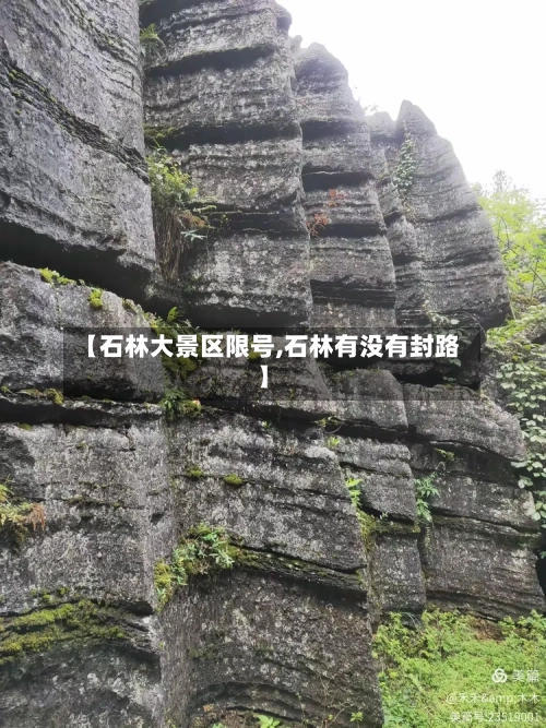 【石林大景区限号,石林有没有封路】