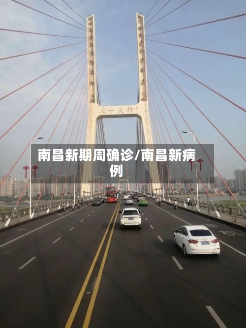 南昌新期周确诊/南昌新病例
