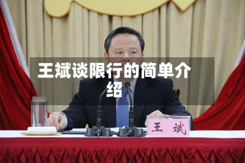 王斌谈限行的简单介绍