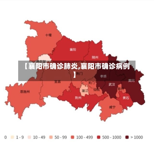 【襄阳市确诊肺炎,襄阳市确诊病例】