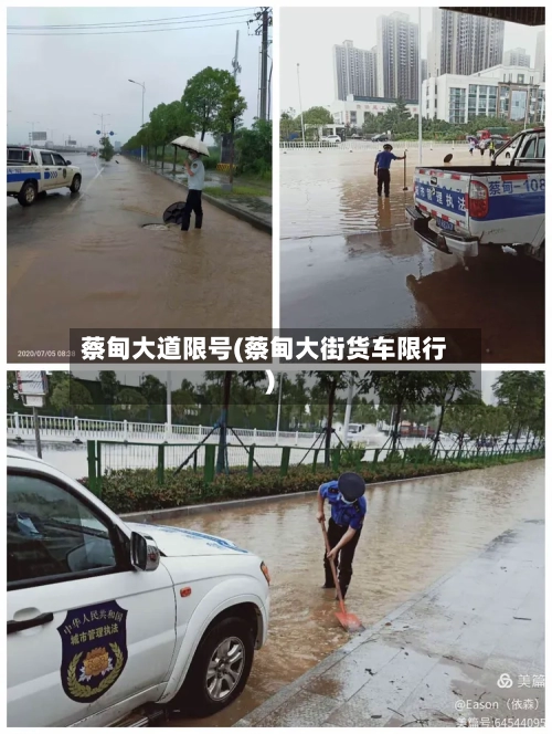 蔡甸大道限号(蔡甸大街货车限行)