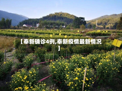 【奉新确诊4例,奉新疫情最新情况】