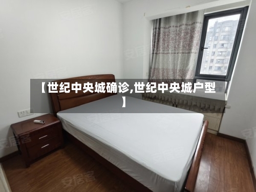【世纪中央城确诊,世纪中央城户型】