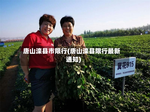 唐山滦县市限行(唐山滦县限行最新通知)