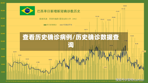 查看历史确诊病例/历史确诊数据查询