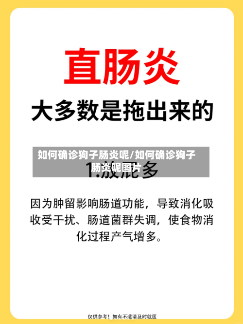 如何确诊狗子肠炎呢/如何确诊狗子肠炎呢图片