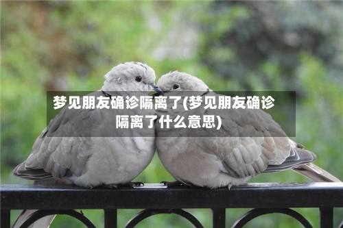 梦见朋友确诊隔离了(梦见朋友确诊隔离了什么意思)