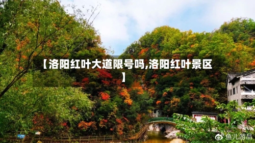 【洛阳红叶大道限号吗,洛阳红叶景区】