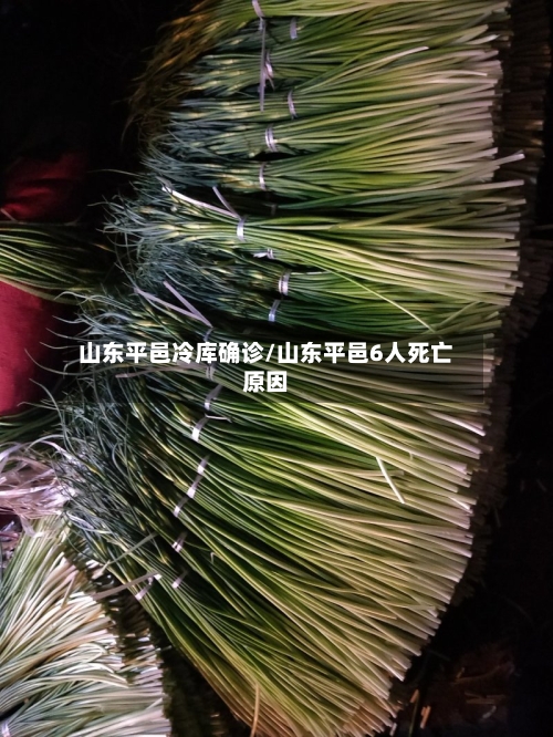 山东平邑冷库确诊/山东平邑6人死亡原因