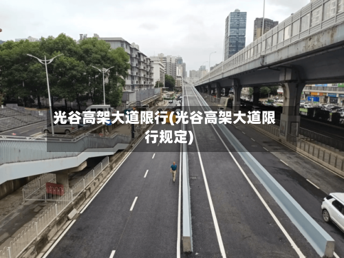 光谷高架大道限行(光谷高架大道限行规定)