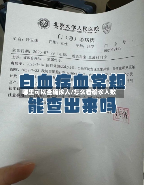 哪里可以查确诊人/怎么看确诊人数