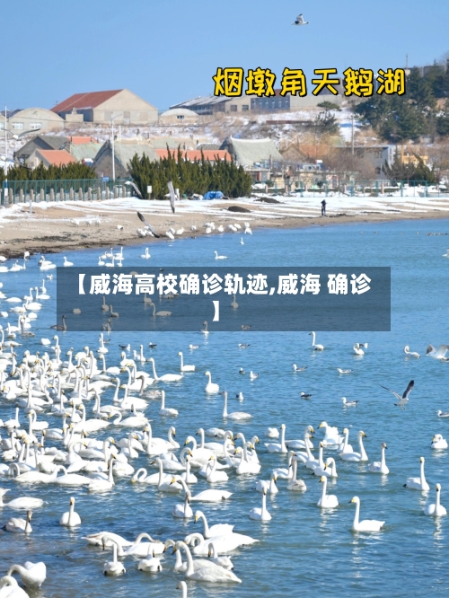 【威海高校确诊轨迹,威海 确诊】