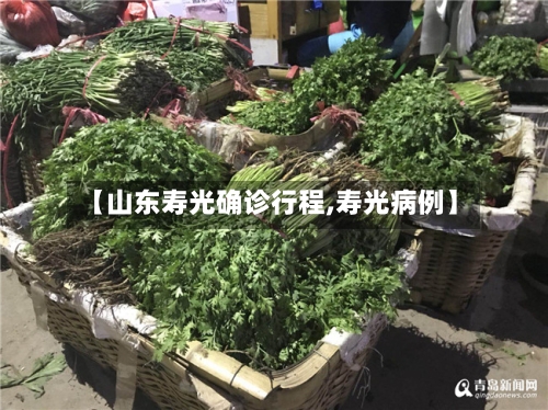 【山东寿光确诊行程,寿光病例】