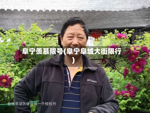 阜宁羡慕限号(阜宁阜城大街限行)