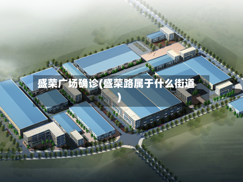 盛荣广场确诊(盛荣路属于什么街道)
