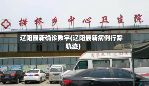 辽阳最新确诊数字(辽阳最新病例行踪轨迹)