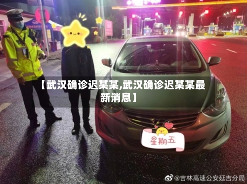 【武汉确诊迟某某,武汉确诊迟某某最新消息】