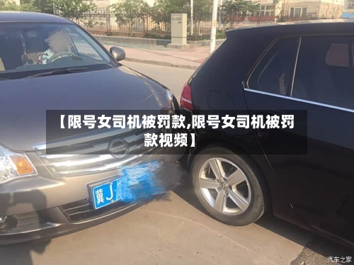 【限号女司机被罚款,限号女司机被罚款视频】