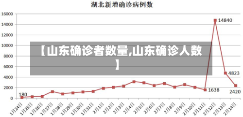 【山东确诊者数量,山东确诊人数】