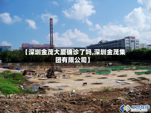 【深圳金茂大厦确诊了吗,深圳金茂集团有限公司】