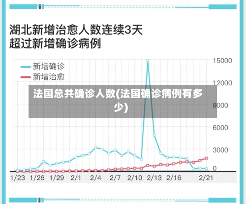 法国总共确诊人数(法国确诊病例有多少)