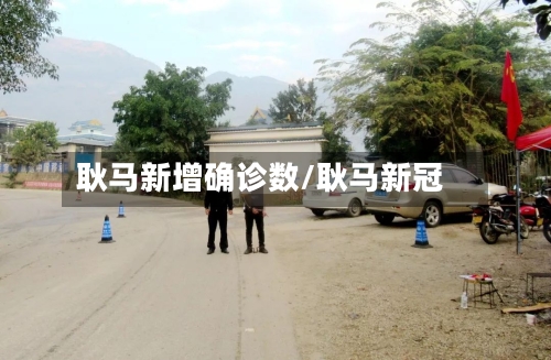 耿马新增确诊数/耿马新冠