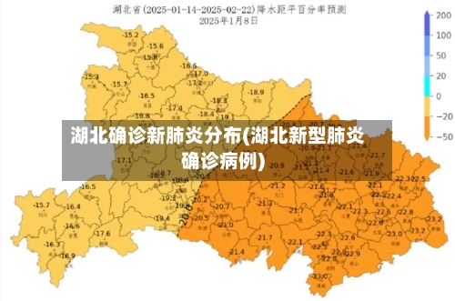 湖北确诊新肺炎分布(湖北新型肺炎确诊病例)