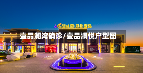 壹品澜湾确诊/壹品澜悦户型图