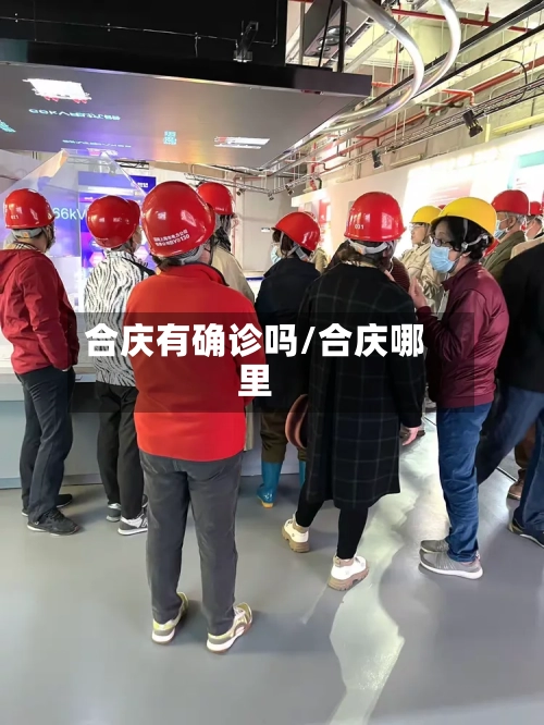 合庆有确诊吗/合庆哪里