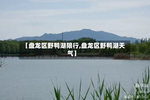 【盘龙区野鸭湖限行,盘龙区野鸭湖天气】