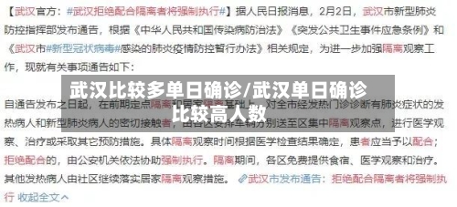 武汉比较多单日确诊/武汉单日确诊比较高人数