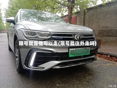 限号就是他可以走(限号能往外走吗)