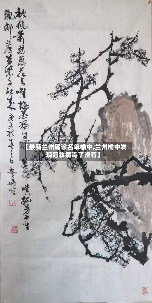 【最新兰州确诊名单榆中,兰州榆中发现冠状病毒了没有】
