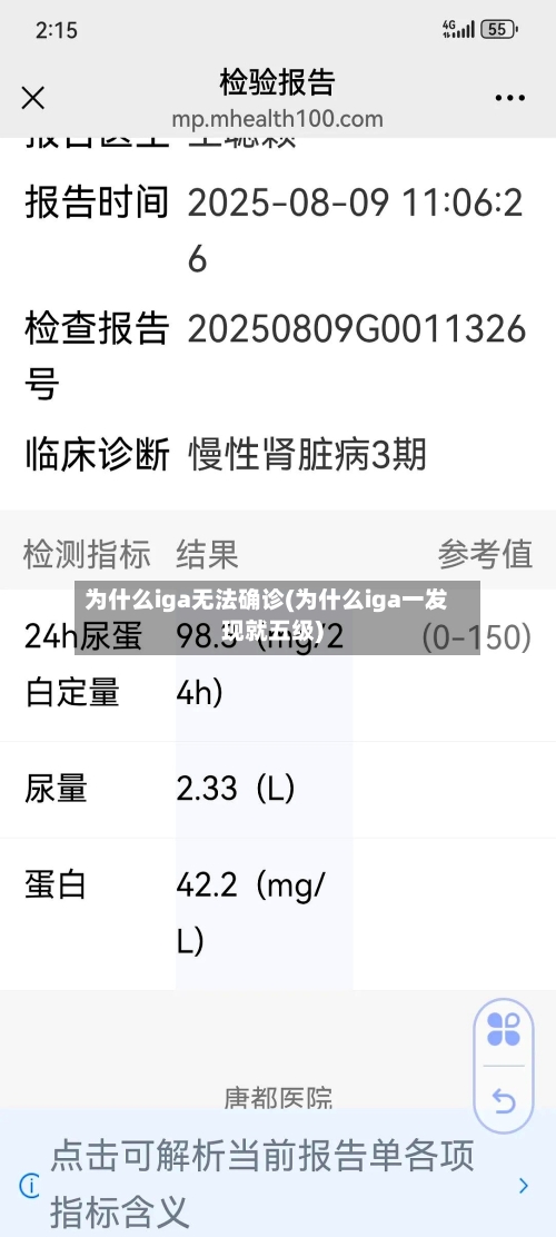 为什么iga无法确诊(为什么iga一发现就五级)