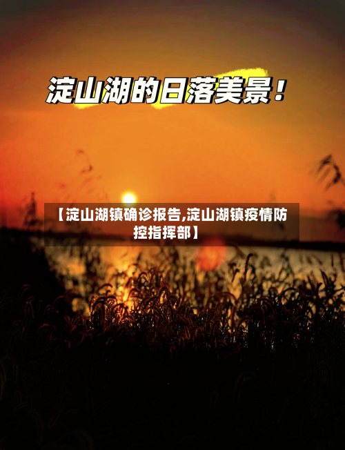 【淀山湖镇确诊报告,淀山湖镇疫情防控指挥部】