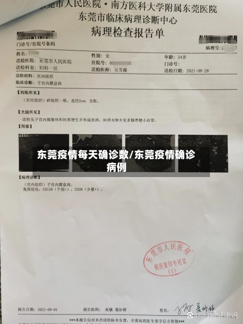 东莞疫情每天确诊数/东莞疫情确诊病例