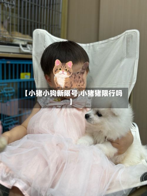 【小猪小狗新限号,小猪猪限行吗】