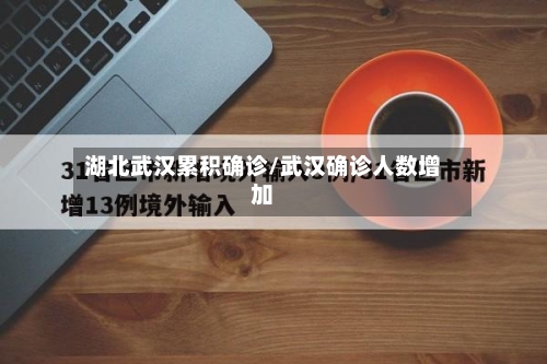 湖北武汉累积确诊/武汉确诊人数增加