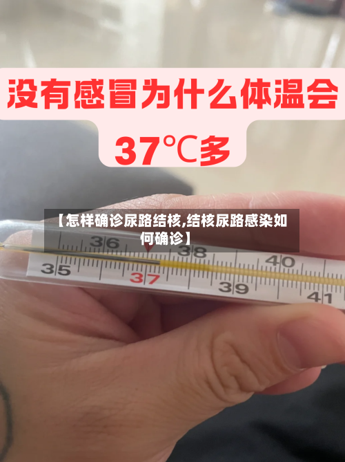 【怎样确诊尿路结核,结核尿路感染如何确诊】