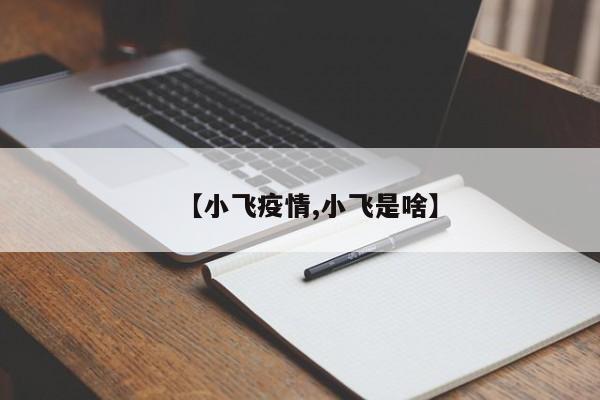 【小飞疫情,小飞是啥】