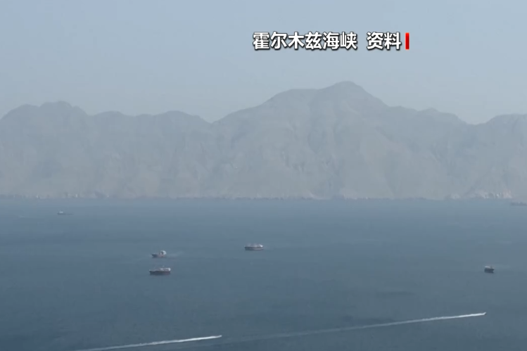 霍尔木兹大消息，伊朗宣布：通行船只须提交申请，60天内免费	，相关费用由伊朗政府承担！德国派军舰前往中东